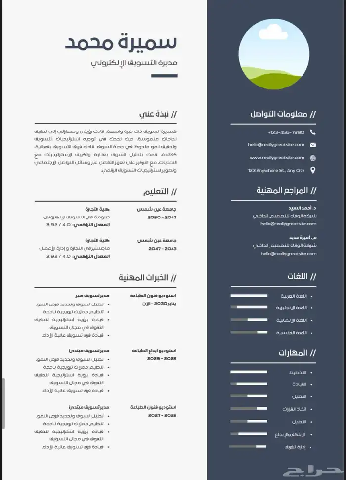تصميم سيرة ذاتية CV 13