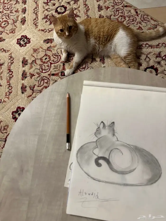 ورش تعليم الرسم للأطفال 0