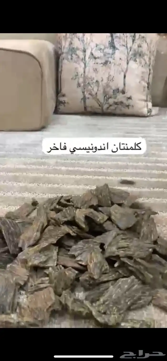 جميع أنواع العوده بسعار منافسه جدا 5