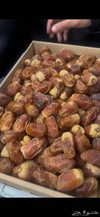 تمور 0