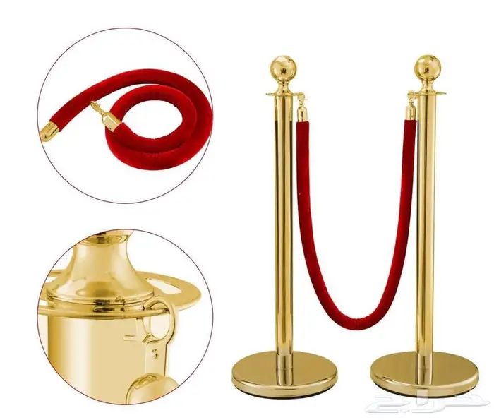 المظيلف يوجد تابي 15