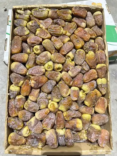 تمور 6