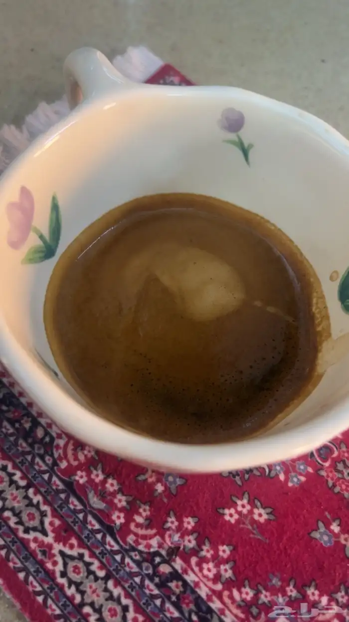 ديلونجي ديديكا جديده 4
