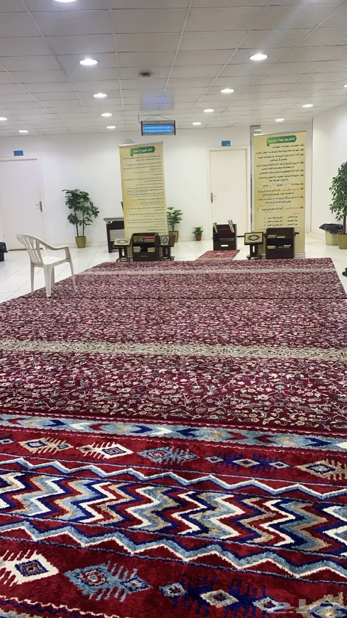 شقق عزاب اسعار مميزة ونادرة جدة 10