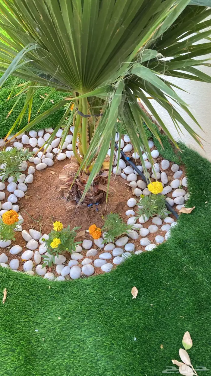 تنسيق الحدائق قص نجيله وتنسيق صناعي باقل من السوق 34