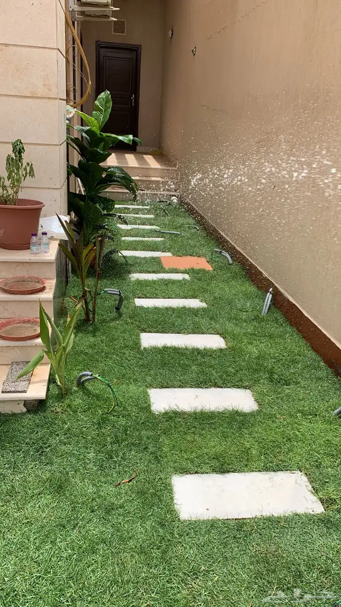 ثيل طبيعي نجيله طبيعي مشروطه ومضمونه 16