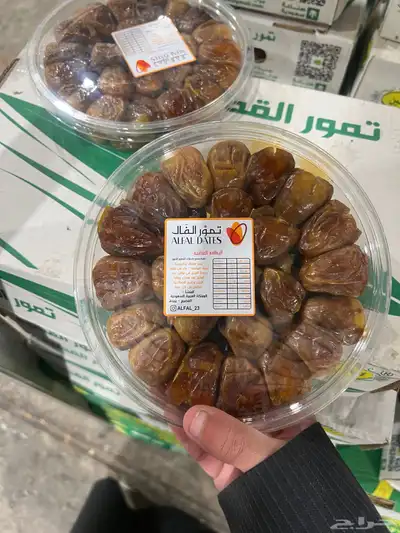 تمور 8