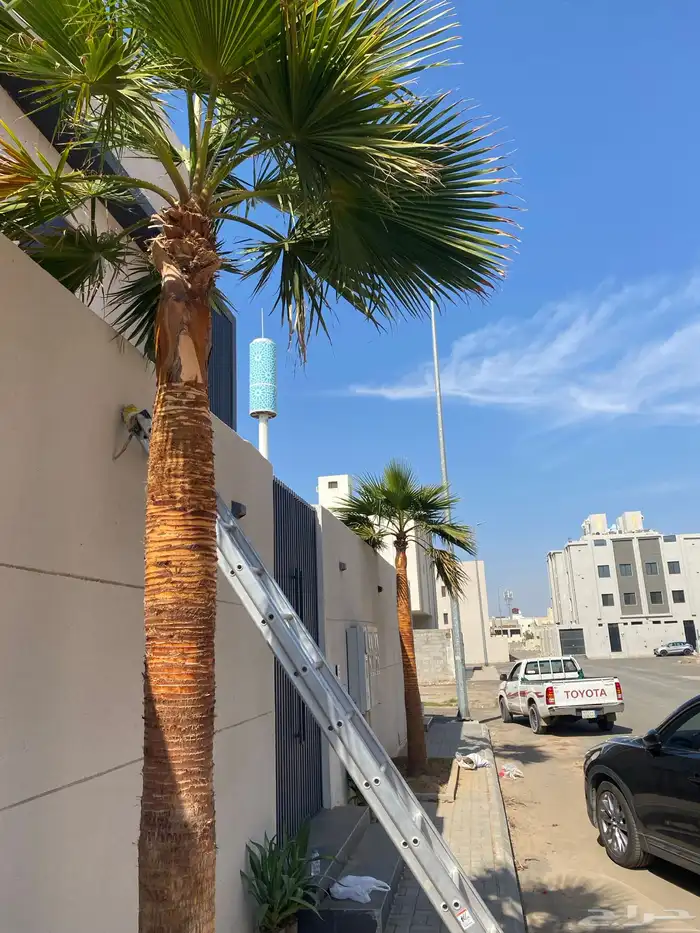 تنسيق الحدائق قص نجيله وتنسيق صناعي باقل من السوق 22