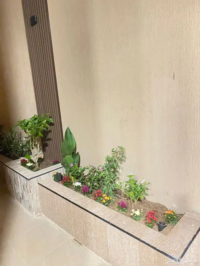 تنسيق الحدائق قص نجيله وتنسيق صناعي باقل من السوق 21