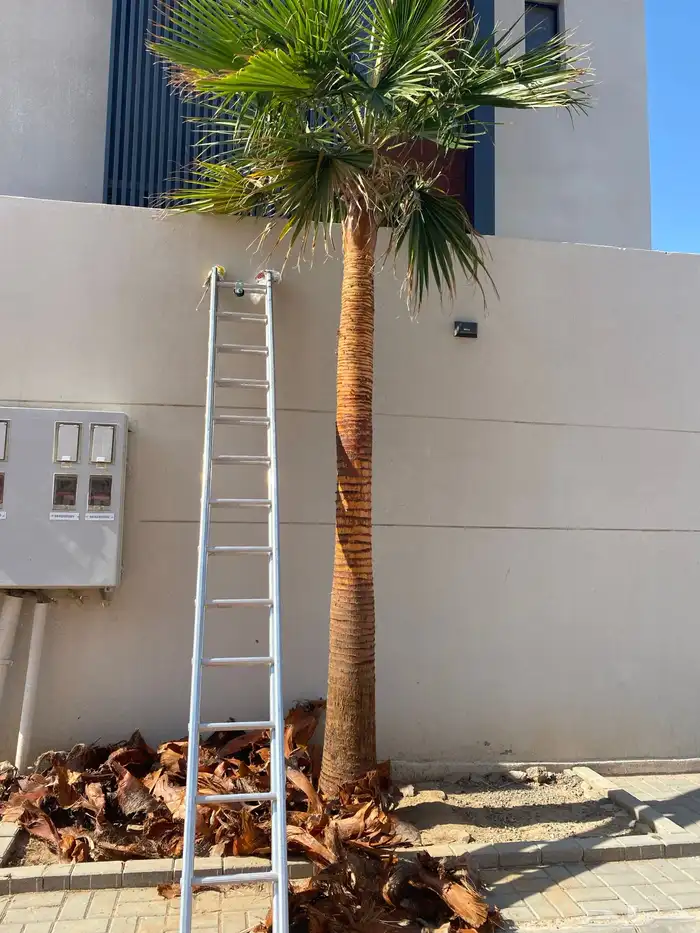 تنسيق الحدائق قص نجيله وتنسيق صناعي باقل من السوق 23