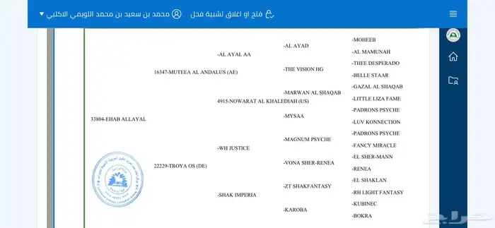 حصان اصيل مصري مكس حار 2