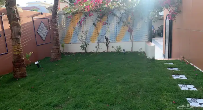 ثيل طبيعي نجيله طبيعي مشروطه ومضمونه 24