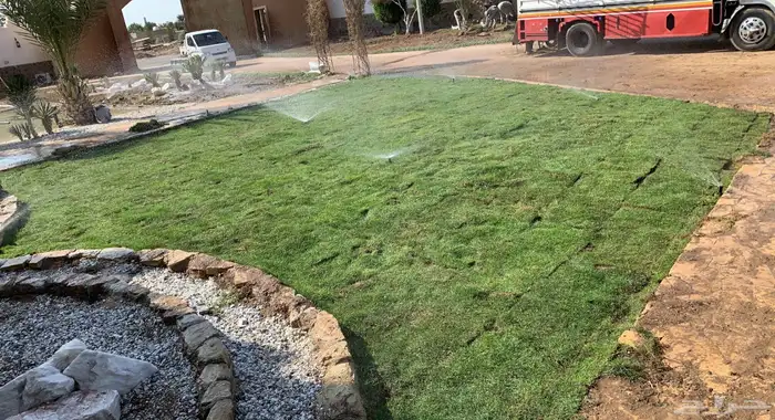 ثيل طبيعي نجيله طبيعي مشروطه ومضمونه 4