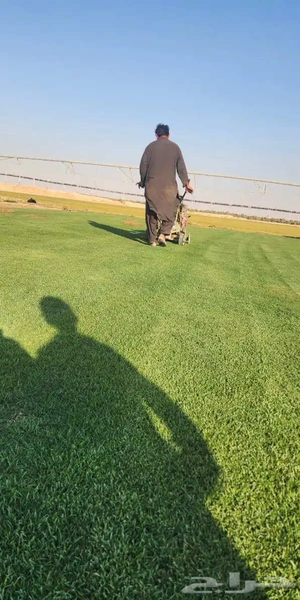 ثيل الخرج 21