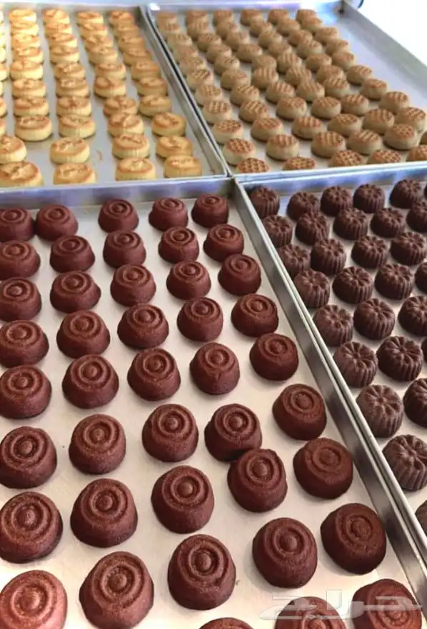 شيف معمول تدريب عمالة 20