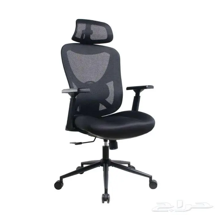 السعوديه الرياض 49