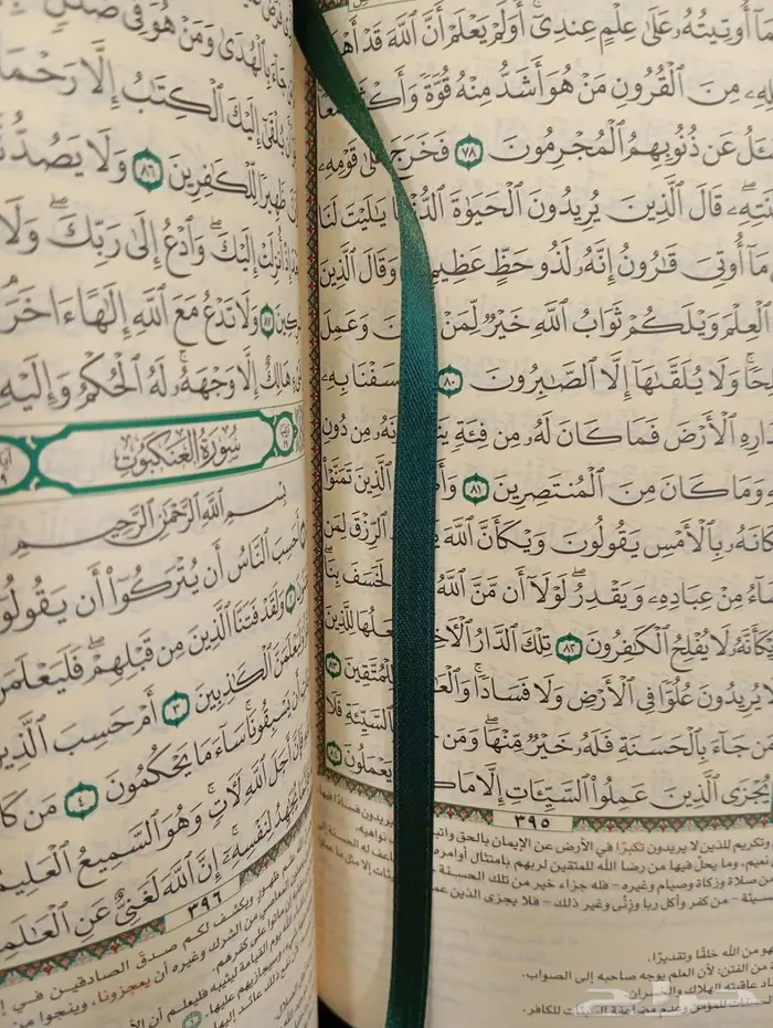 مصحف التفسير (جديد) المختصر في تفسير القرآن 3