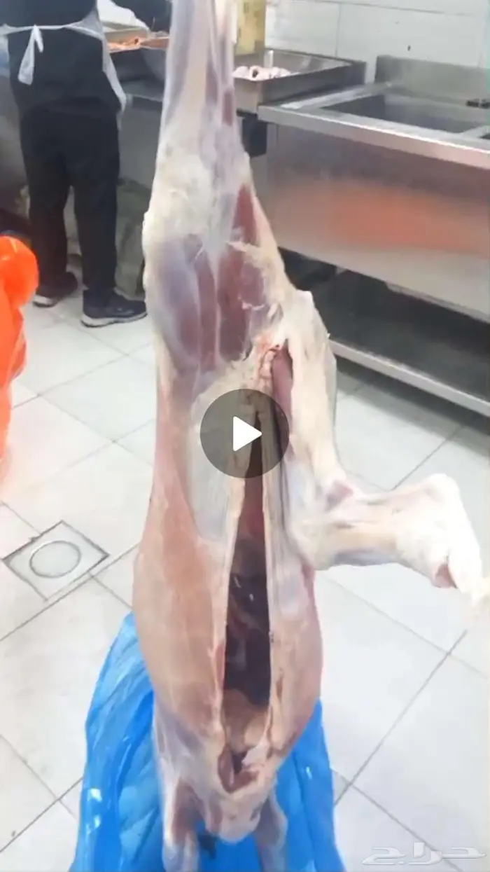 سواكن طيبه التواصل واتساب فقط 2