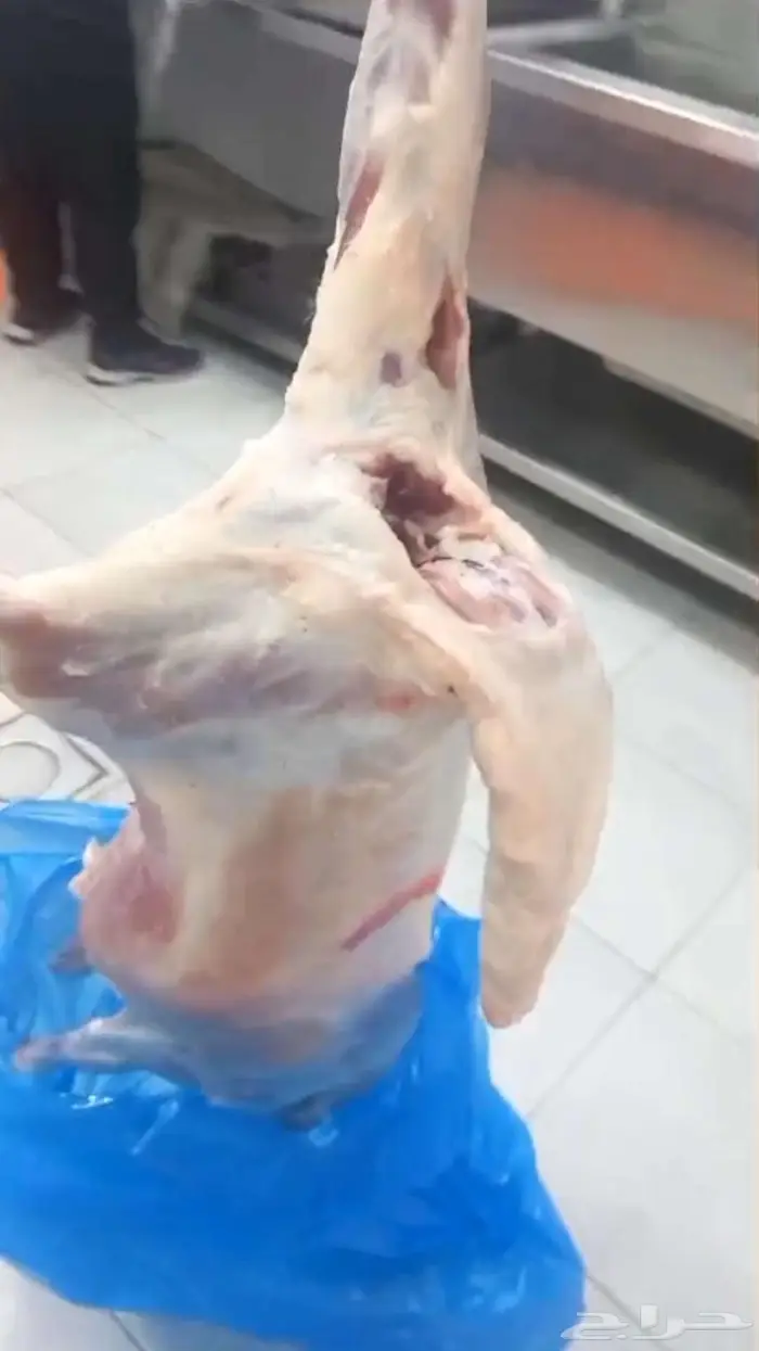 سواكن طيبه التواصل واتساب فقط 1