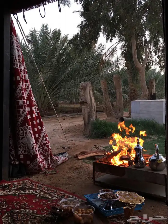 مزرعة اجار يومي 12