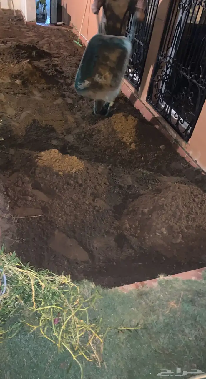 ثيل طبيعي نجيله طبيعي مشروطه ومضمونه 20