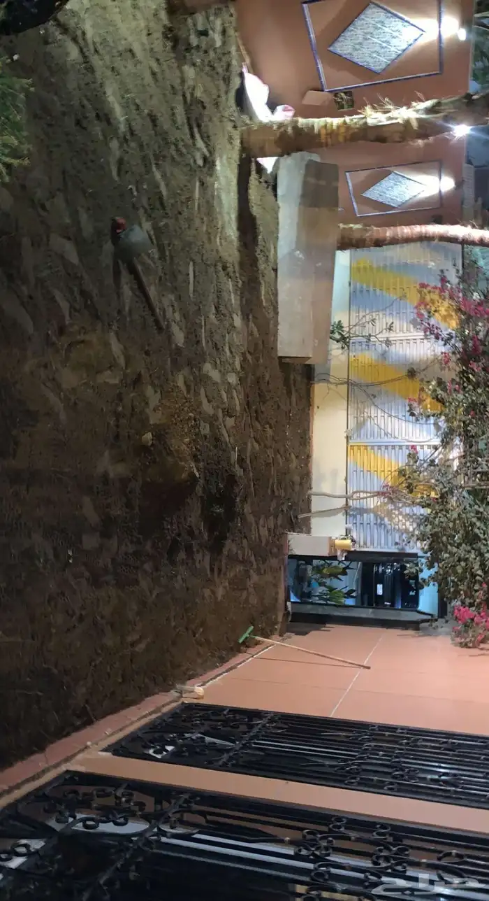 ثيل طبيعي نجيله طبيعي مشروطه ومضمونه 18