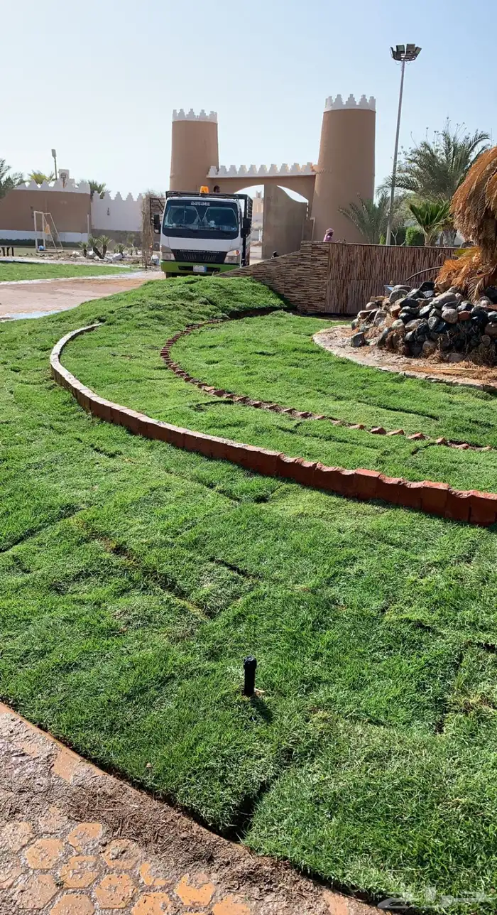 ثيل طبيعي نجيله طبيعي مشروطه ومضمونه 7