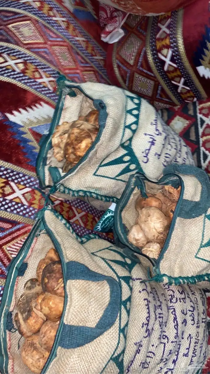 فقع طيب للبيع 25 كيلو فل الفل الخياش على السوم 0