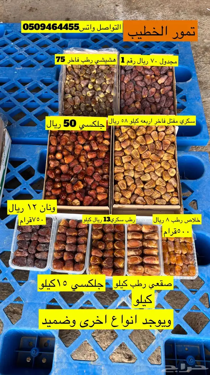 تمور الخطيب 0