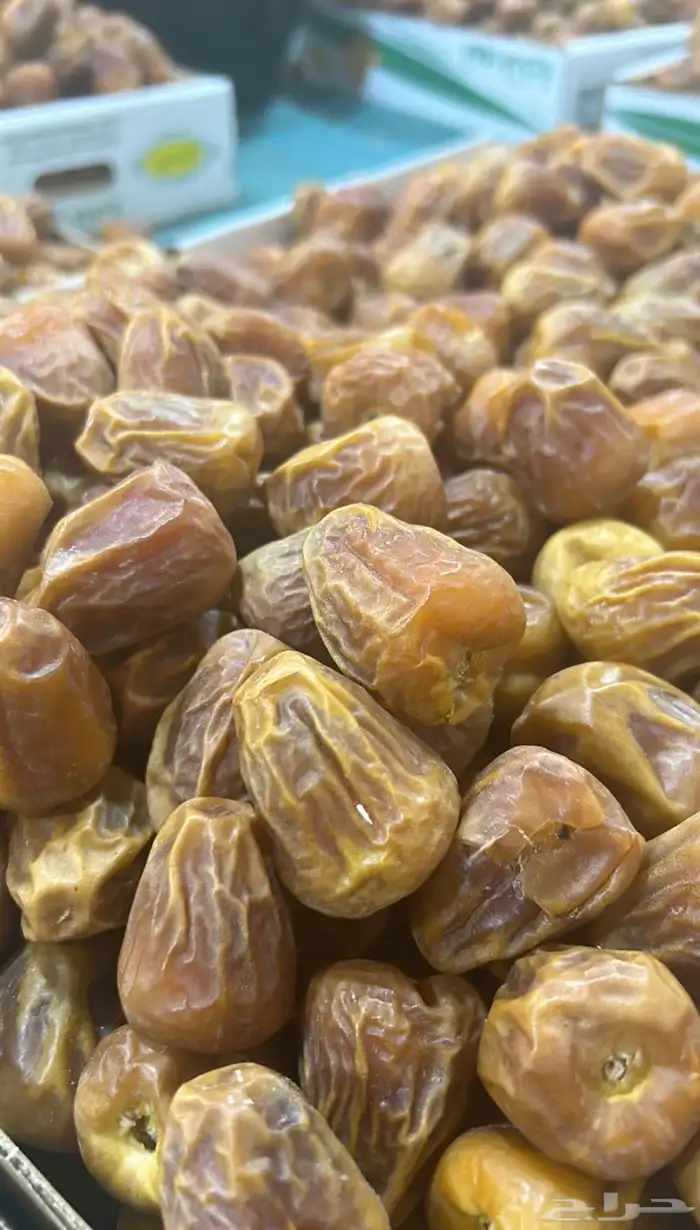 سكري مفتل وجلكسي ملكي 1