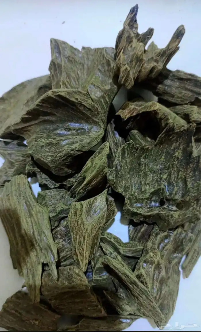 عود كلمنتان درجة اولى 0