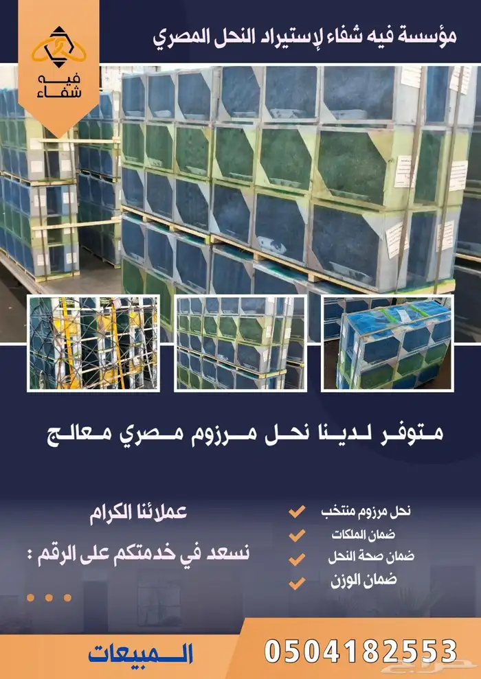 نحل مصري مرزوم 4