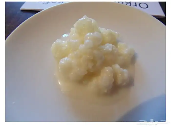 كفير -فطر هندي- الدمام و توصيل الى جميع مناطق المملكة 2