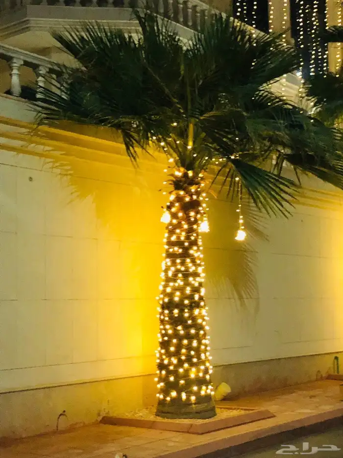 لمبات ونشره كويتي 6