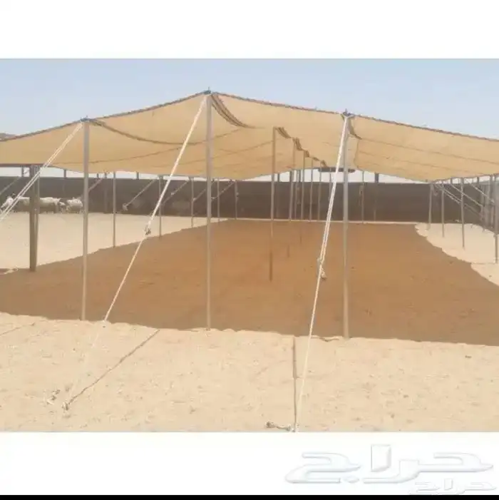 خيام شعر وبيوت ومستلزماتها 15