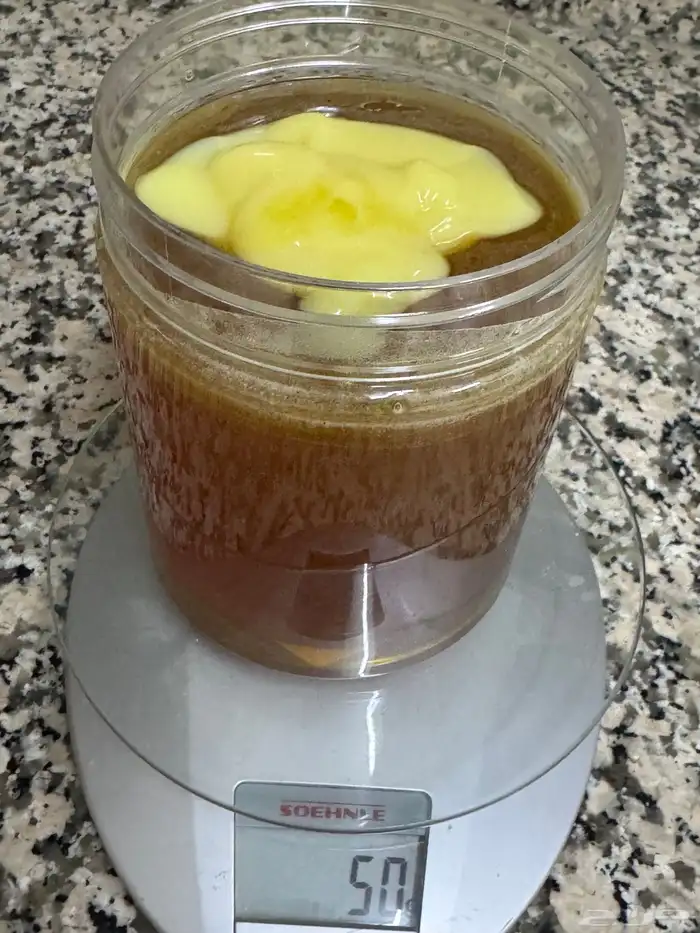 عسل بغذاء الملكات 0