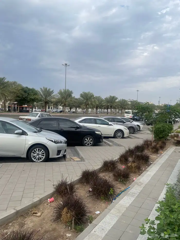 توصيل مشاوير داخل المدينه 0