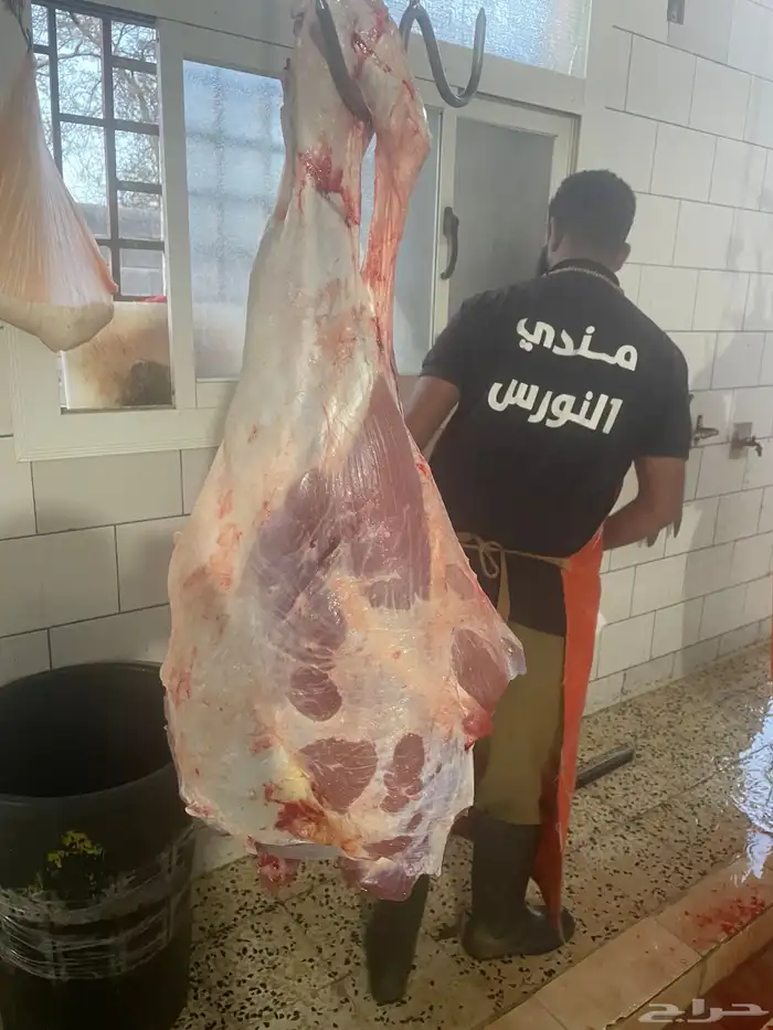 حسلان شركه 1