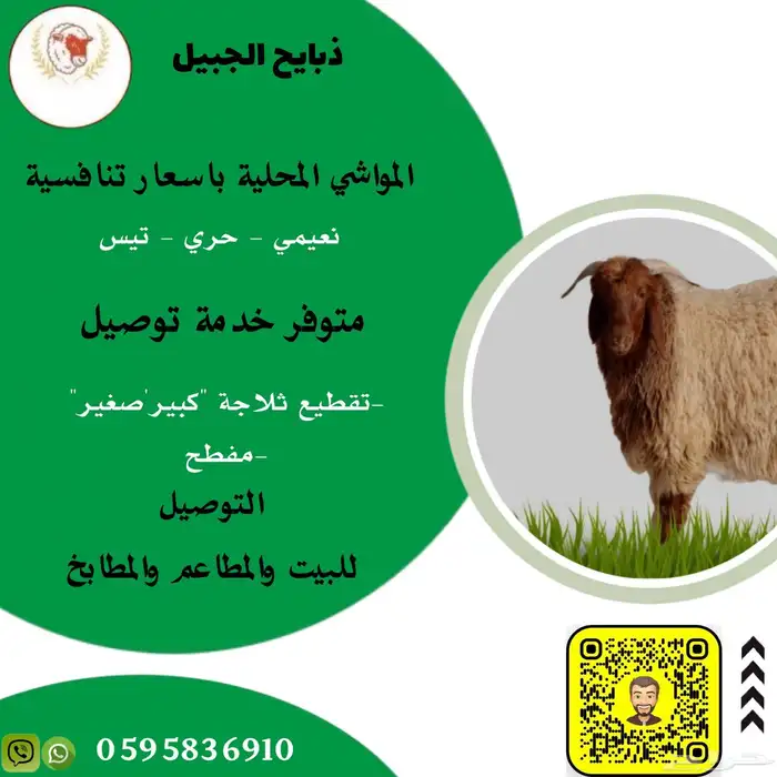 الذبيح نعيمي حري تيس الجبيل الصناعيه 0