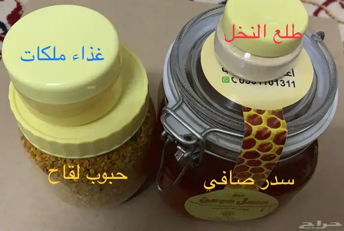 عسل بغذاء الملكات 5