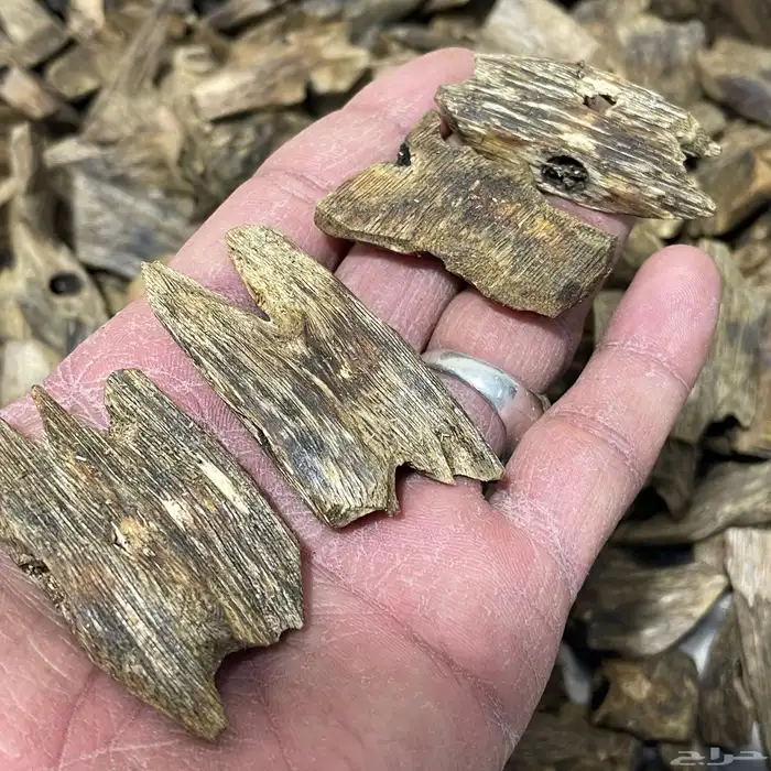 عود صيني طبيعي جميل الرائحة والسعر جميل 3