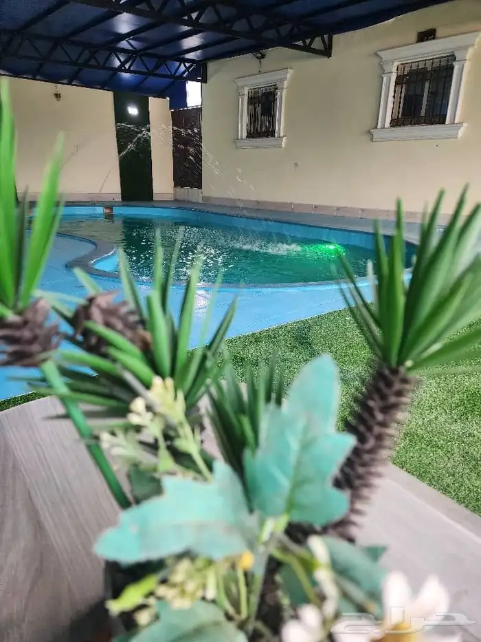 شاليه أحلى الليالي عرض اليوم فقط القسمين 290 ريال 7