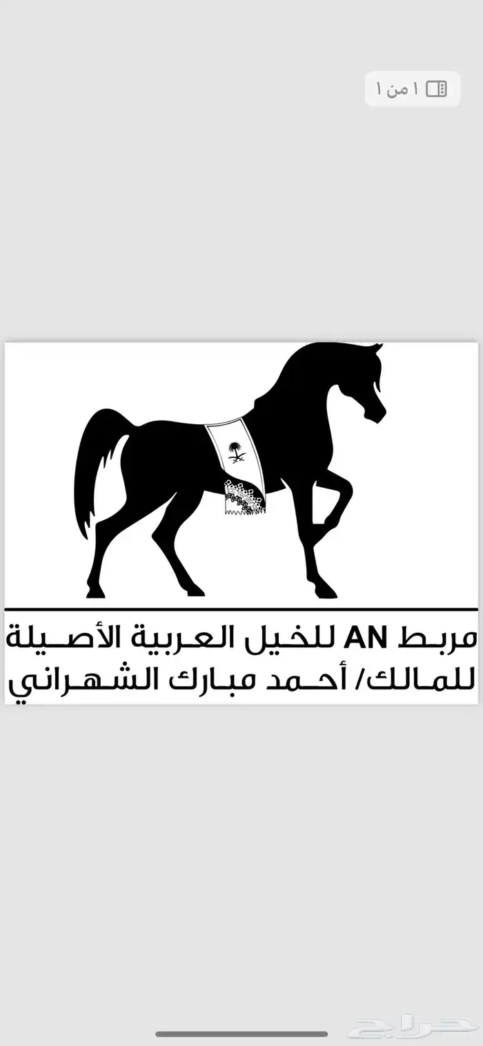 مربط واسطبل خيل 6