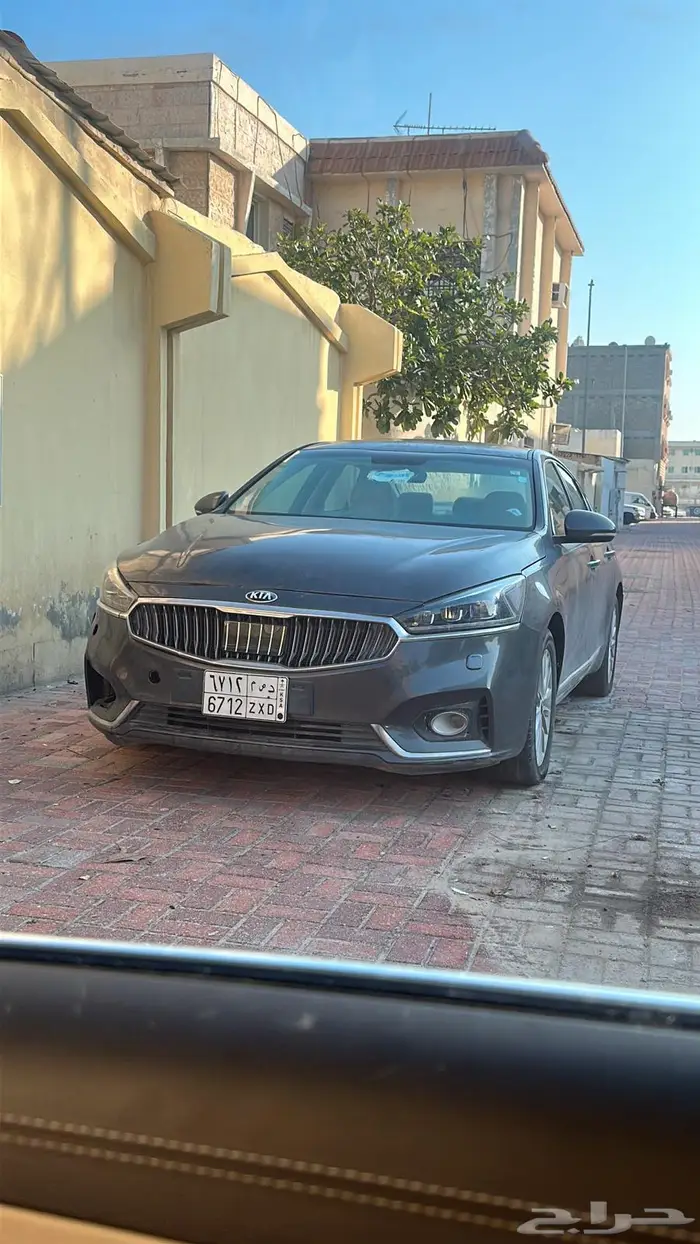 كادينزا 2020 1