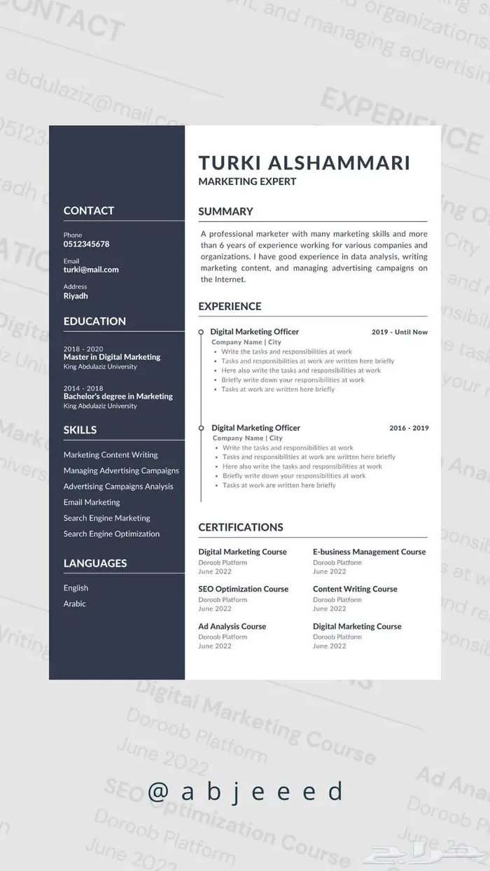 سيرة ذاتية احترافية CV ATS 1
