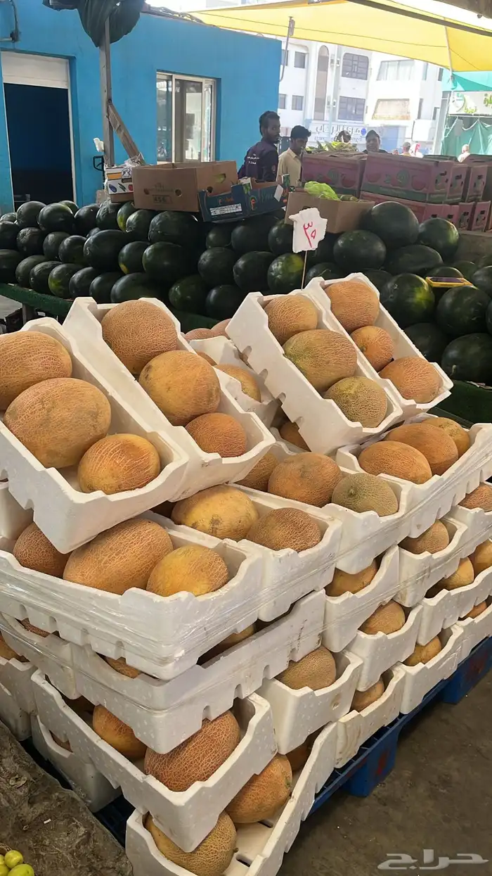 حبحب و شمام 3