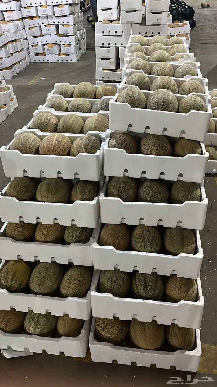 حبحب و شمام 2