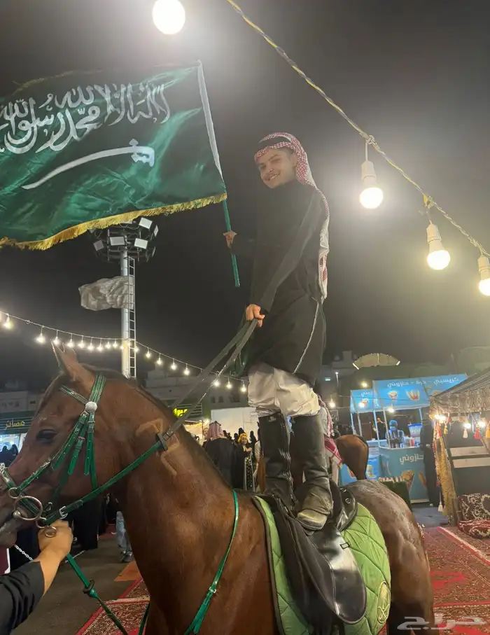 خيول للإيجار 0