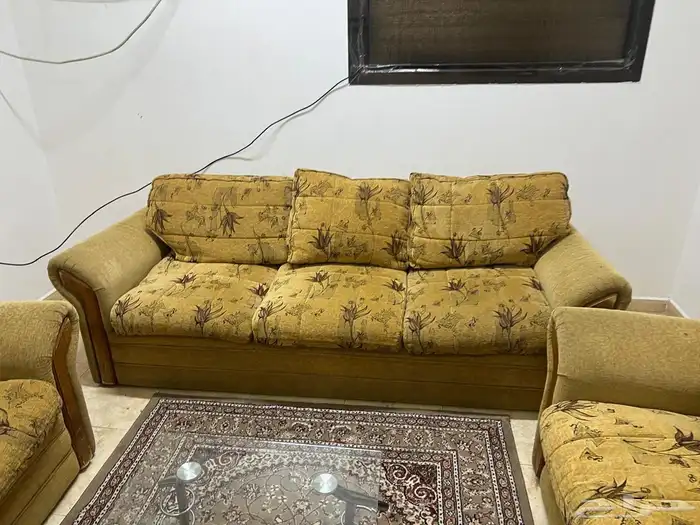 كنبات و سجاد 2