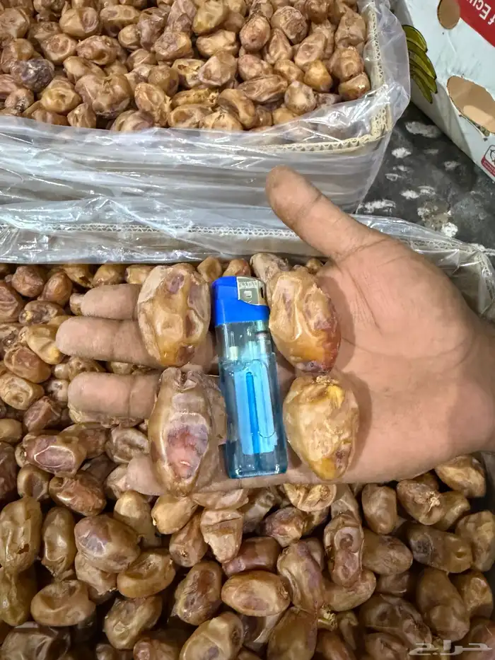تمر خلاص فله 4